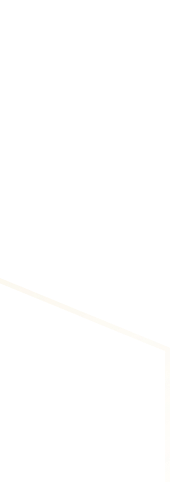 Footer Bottom Vector